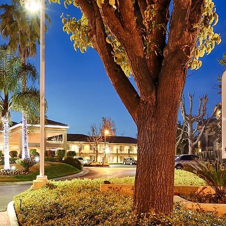 Best Western Plus Dixon Davis Exterior photo